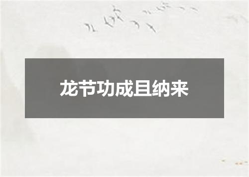 龙节功成且纳来