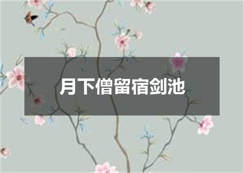月下僧留宿剑池