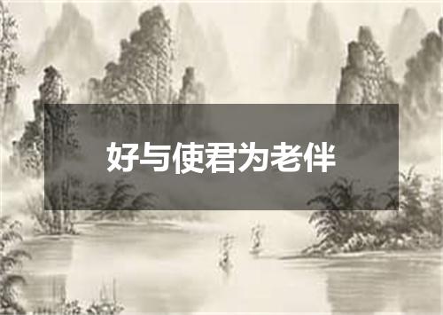 好与使君为老伴