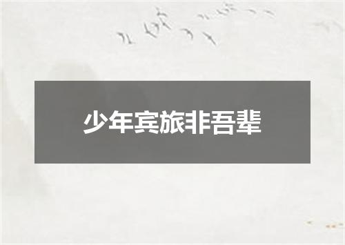 少年宾旅非吾辈