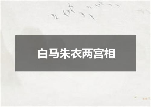 白马朱衣两宫相