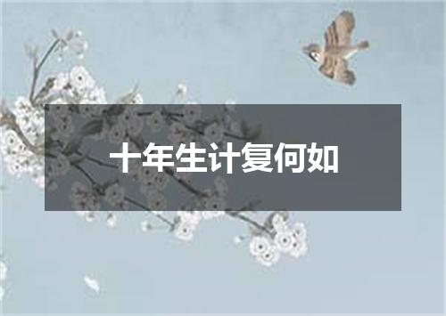 十年生计复何如