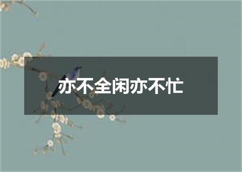 亦不全闲亦不忙
