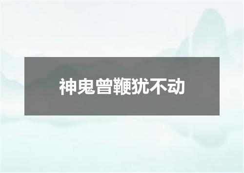 神鬼曾鞭犹不动