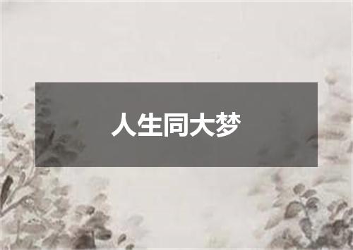 人生同大梦
