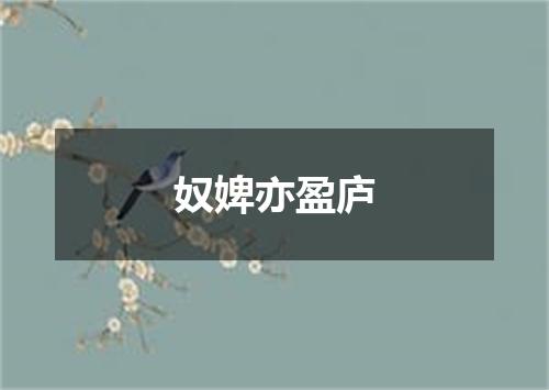 奴婢亦盈庐