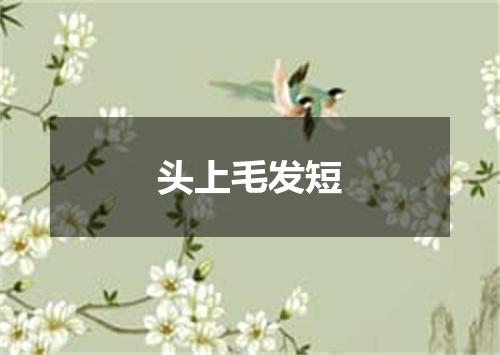头上毛发短