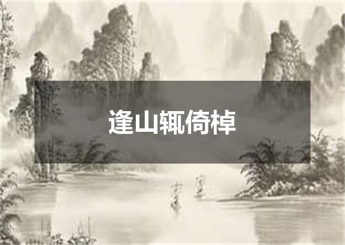 逢山辄倚棹