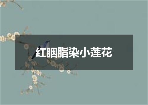 红胭脂染小莲花