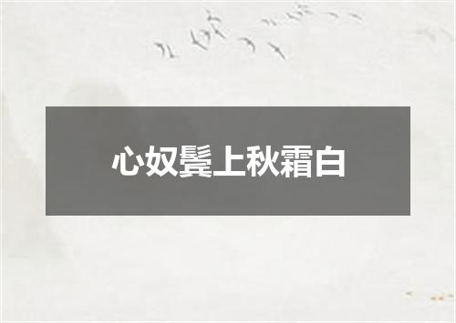 心奴鬓上秋霜白