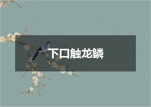 下口触龙鳞