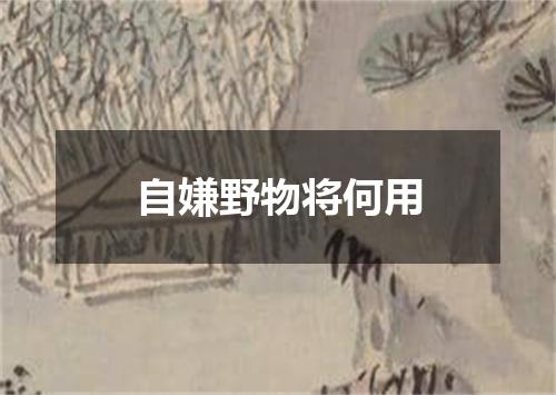 自嫌野物将何用