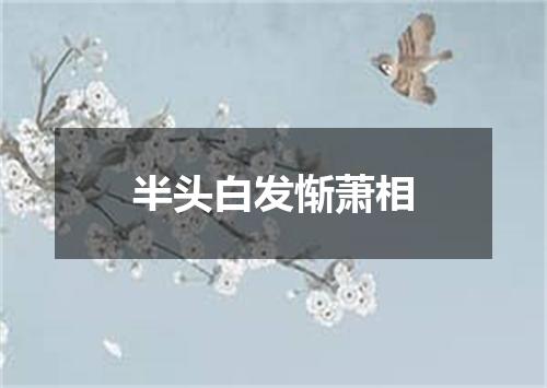 半头白发惭萧相
