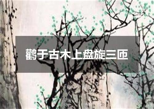 鹳于古木上盘旋三匝