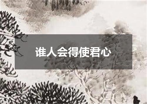 谁人会得使君心