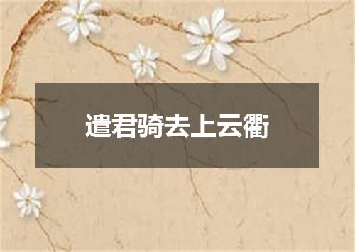 遣君骑去上云衢