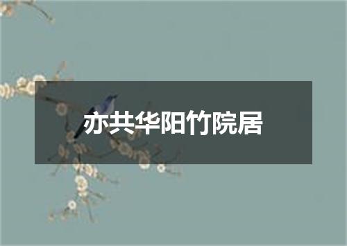 亦共华阳竹院居