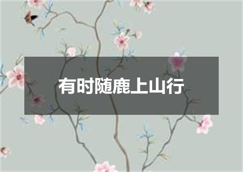 有时随鹿上山行