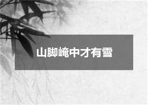 山脚崦中才有雪