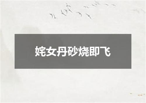 姹女丹砂烧即飞