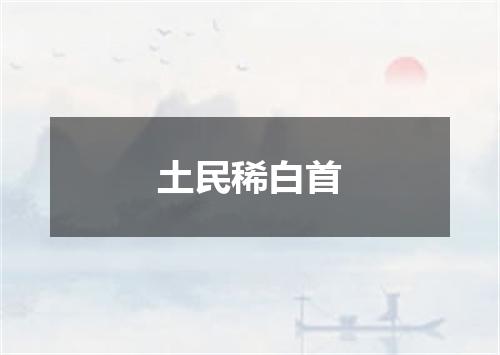 土民稀白首