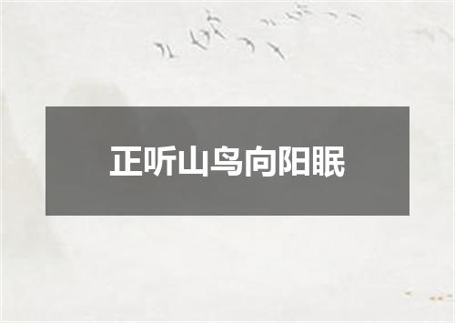 正听山鸟向阳眠