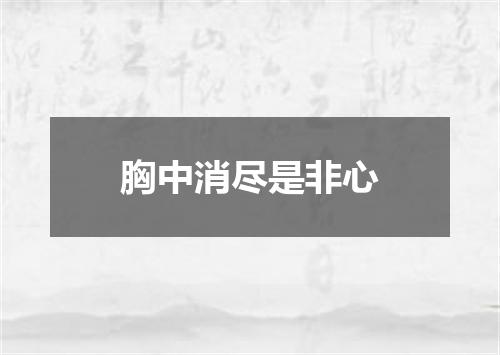 胸中消尽是非心