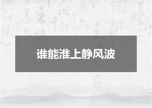 谁能淮上静风波