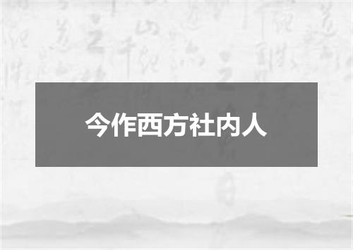 今作西方社内人
