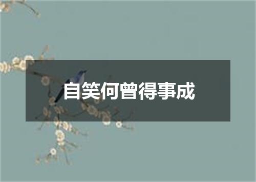 自笑何曾得事成
