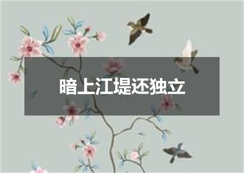 暗上江堤还独立