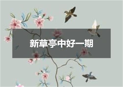 新草亭中好一期