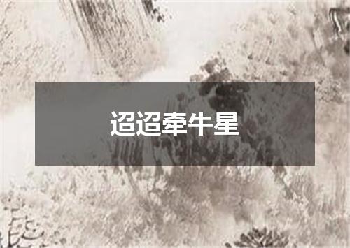 迢迢牵牛星