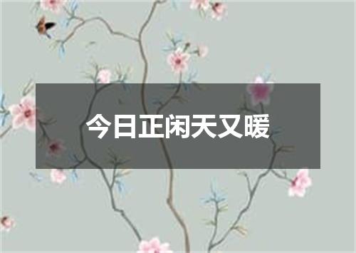 今日正闲天又暖