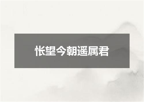 怅望今朝遥属君