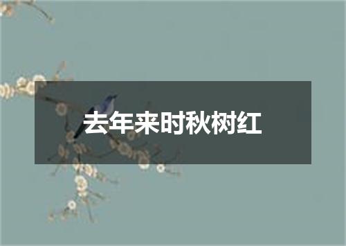 去年来时秋树红
