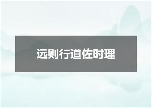 远则行道佐时理