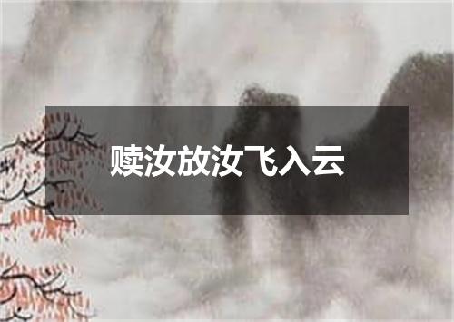 赎汝放汝飞入云