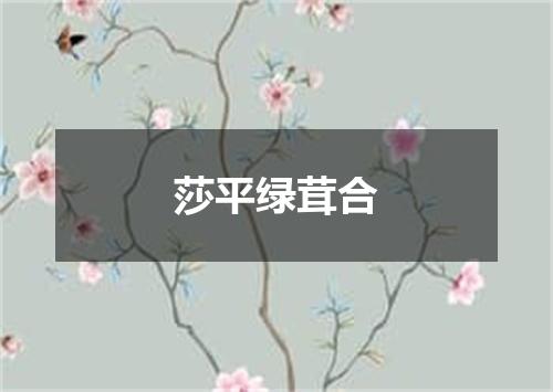 莎平绿茸合