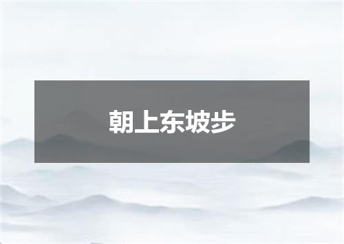 朝上东坡步