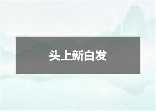 头上新白发