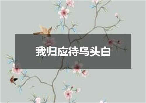 我归应待乌头白