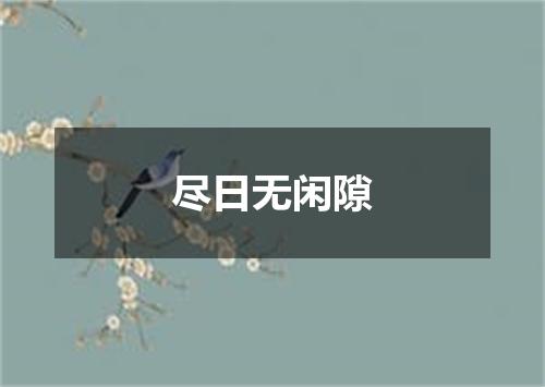 尽日无闲隙
