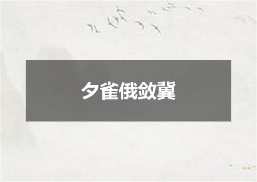 夕雀俄敛冀