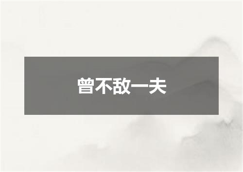 曾不敌一夫