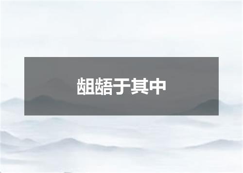 龃龉于其中