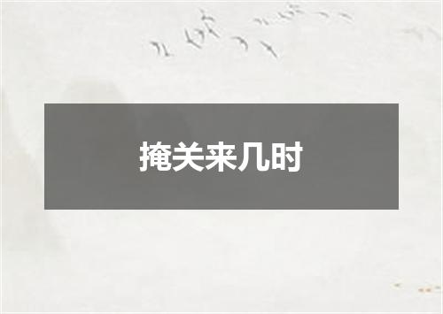 掩关来几时