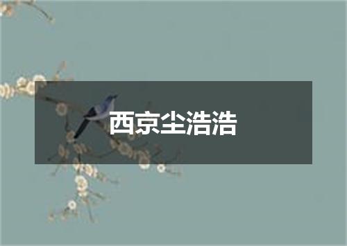 西京尘浩浩