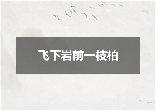 飞下岩前一枝柏