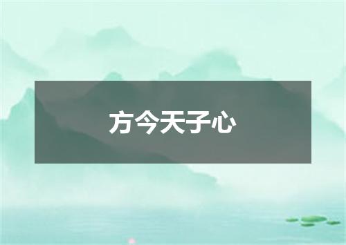 方今天子心